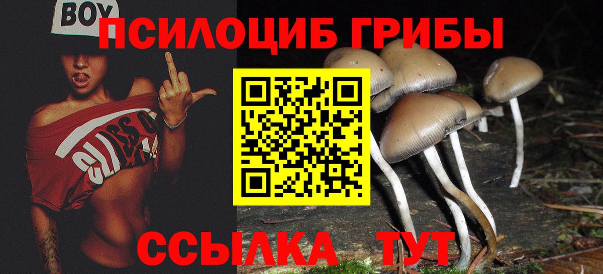 Псилоцибиновые грибы Psilocybine cubensis  Вход с VPN  Лобня 